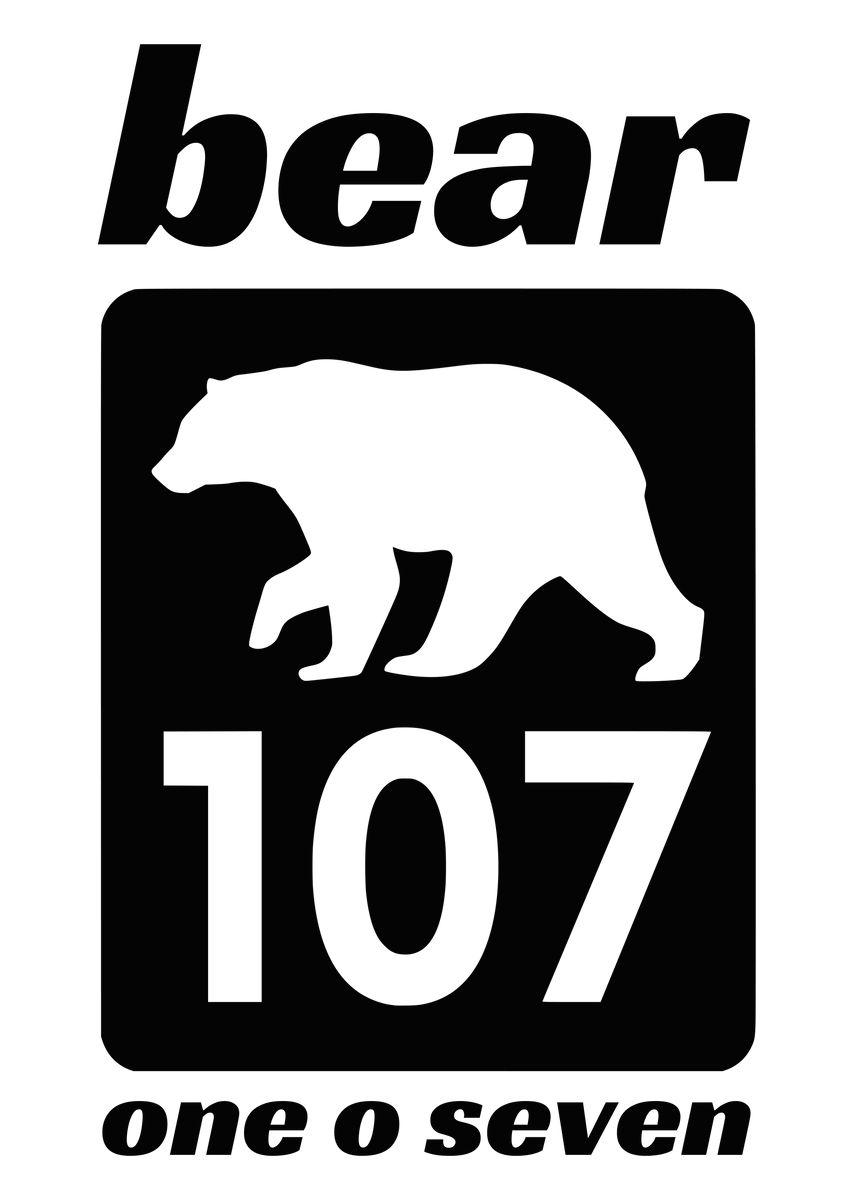 Bear　0107 ♡ Vintage Smokey Bear Hoodie Sweatshirt | Wild Tribute