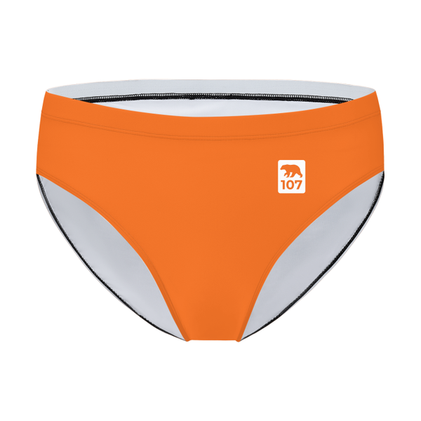 bear pride gay bears swim brief,MOQ1,Delivery days 5