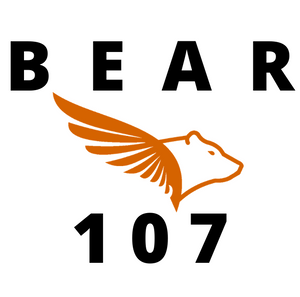 Bear107