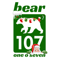 Bear107