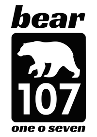 Bear107