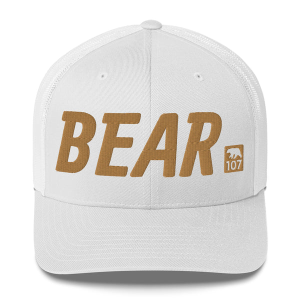 Gay Pride Bear 107 Tracker Cap