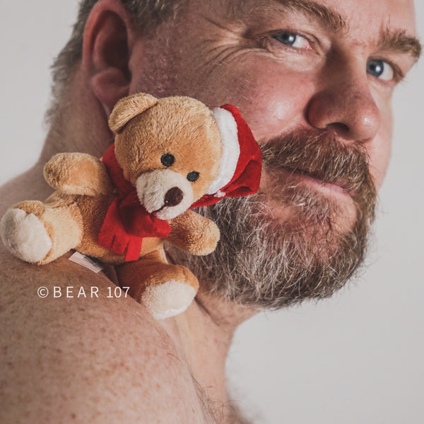 Bear Pride, Cute Santa Bear, Fabric